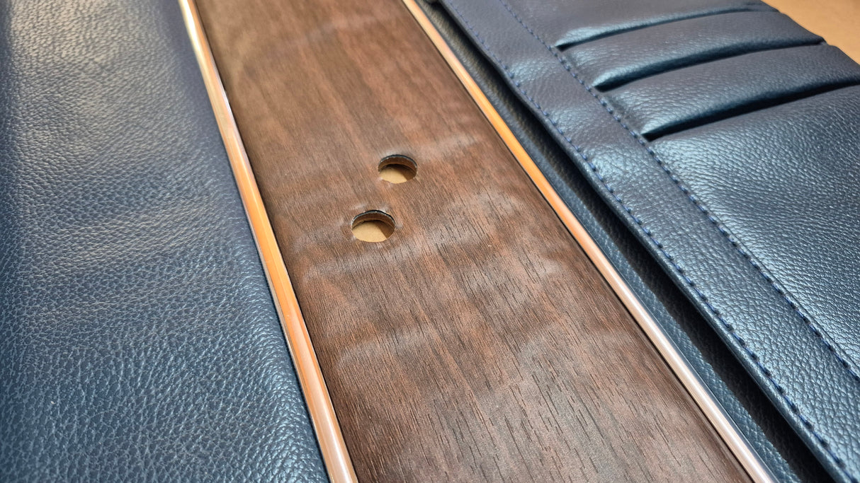 1969 Barracuda Fastback Deluxe Front Driver Side Door Panels Only